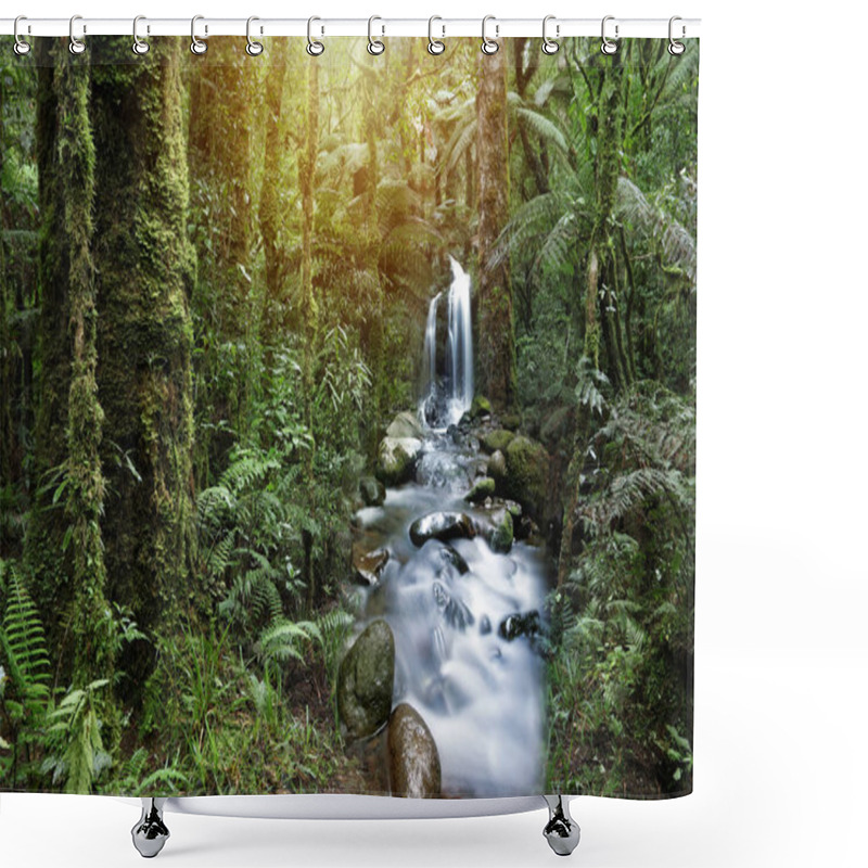 Personality  Water Flowing In Tropical Rain Forest Shower Curtains