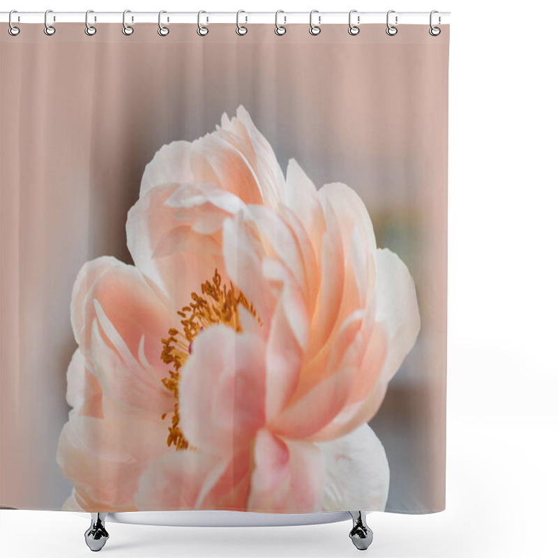 Personality  Peony Flowers Petals, Flora    Shower Curtains