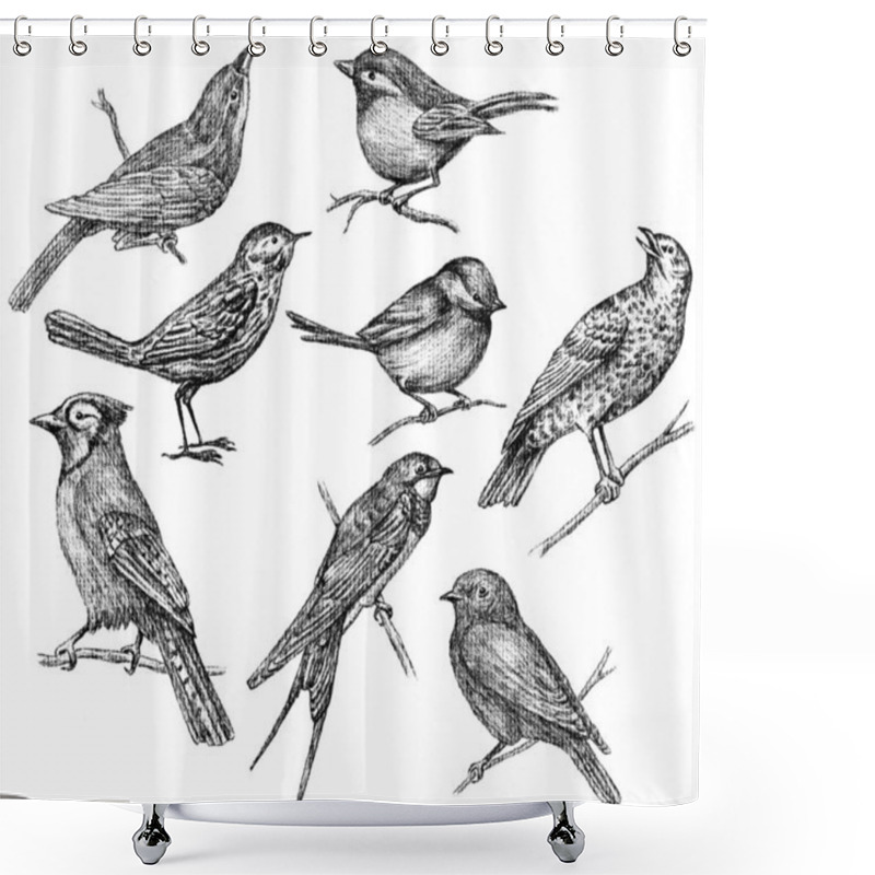 Personality  Wild Birds Sketches Shower Curtains