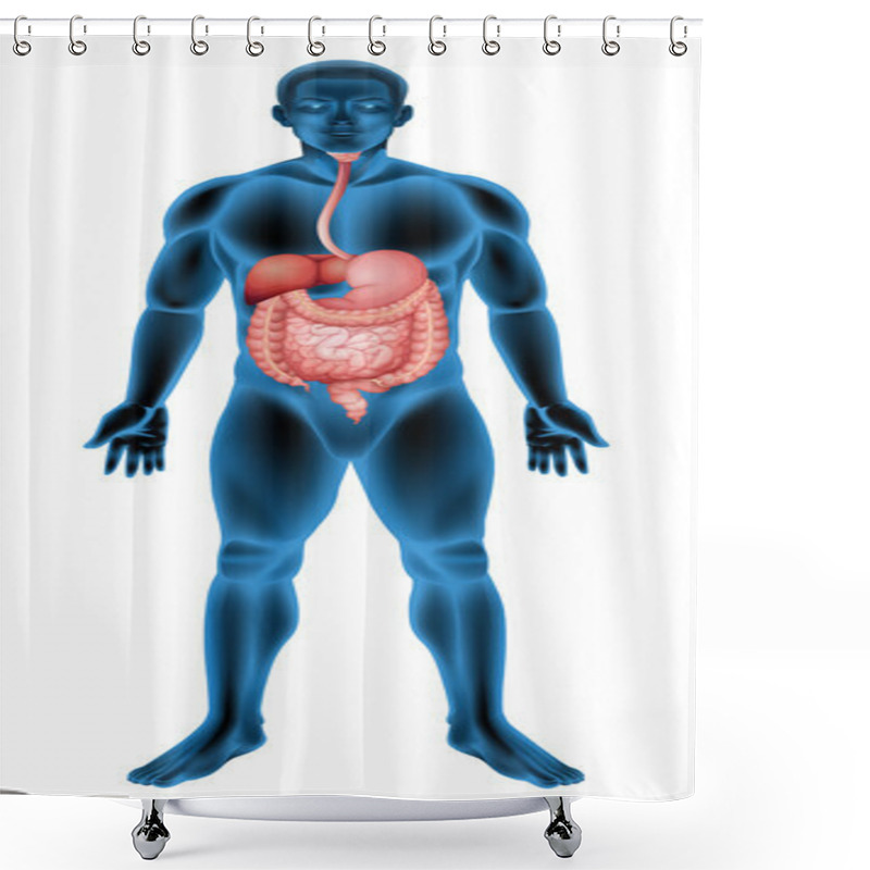 Personality  Human Digestive System Shower Curtains