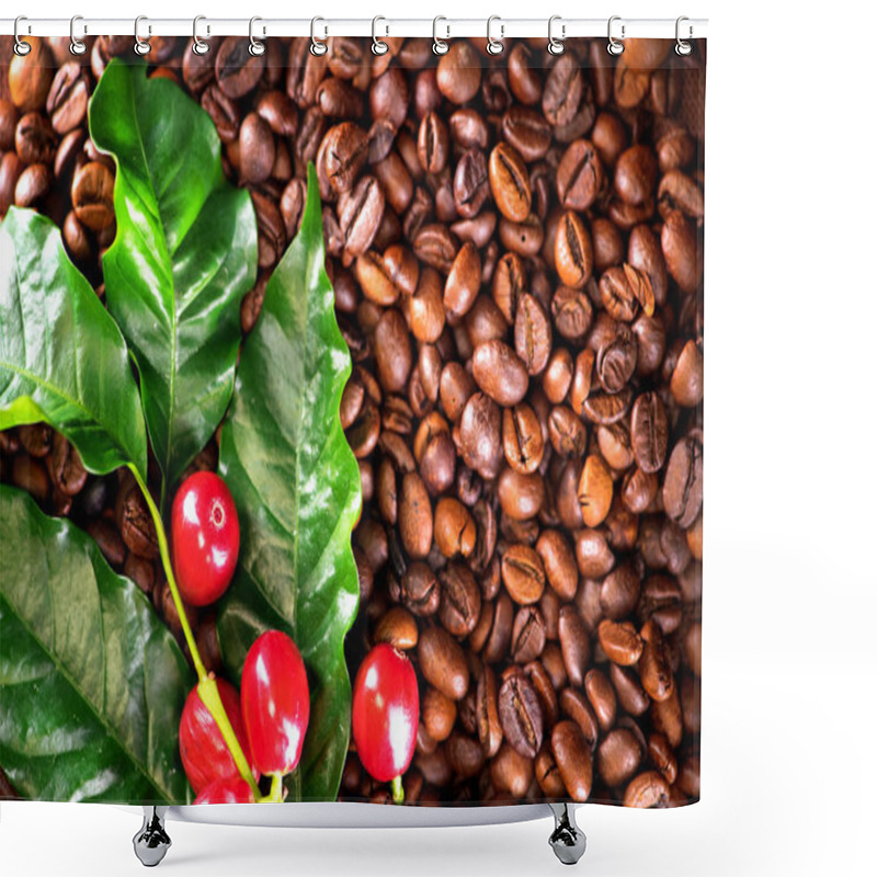 Personality  Close View Of Coffee Beans And Coffee Plant Shower Curtains