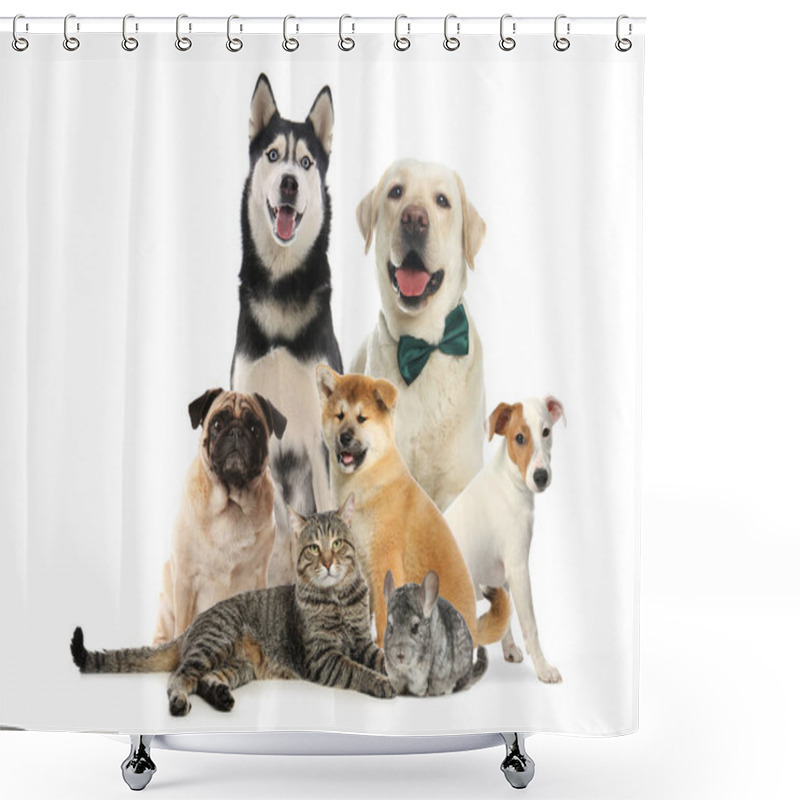 Personality  Group Of Different Pets On White Background Shower Curtains