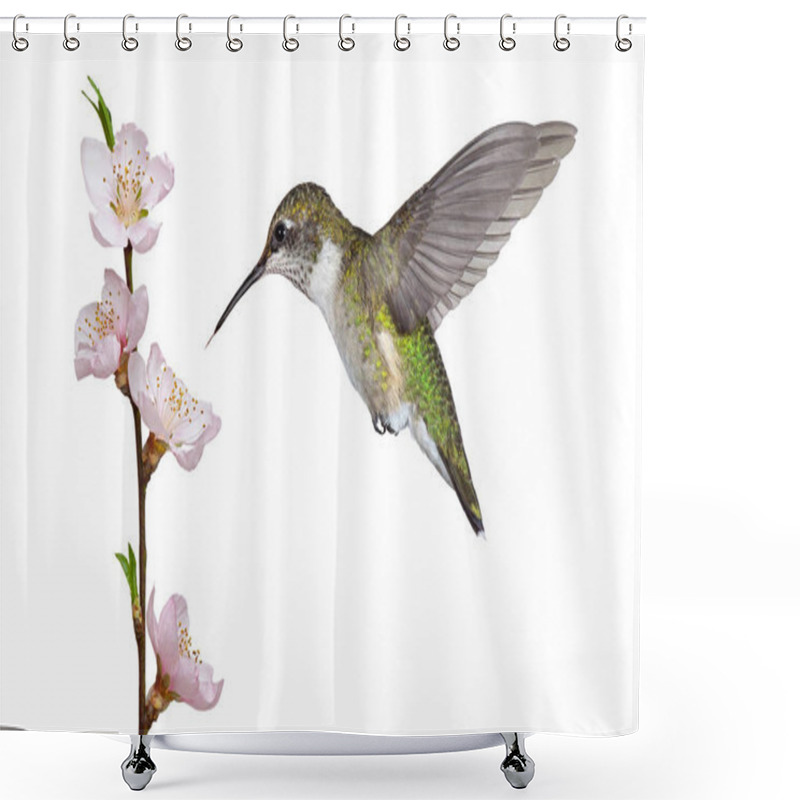 Personality  Hummingbird And A Fruit Blossom Shower Curtains