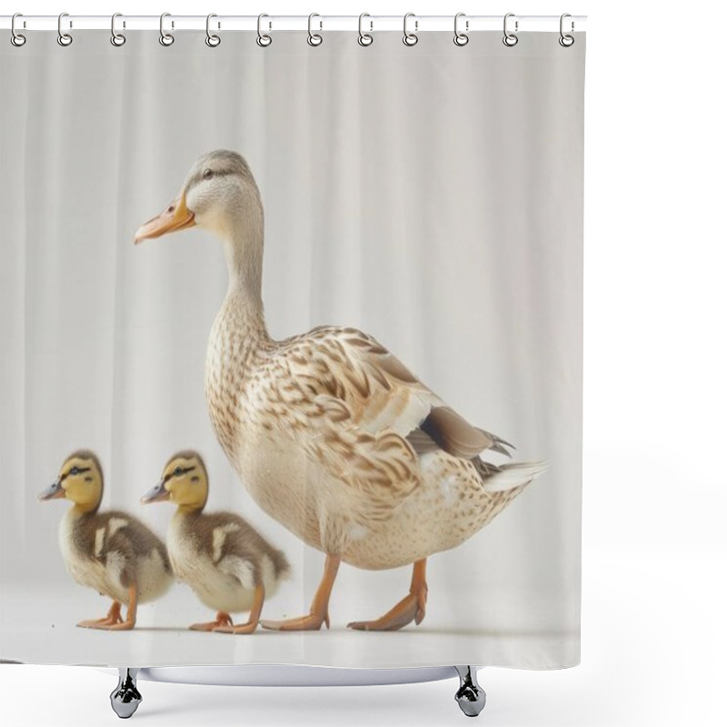 Personality  A Female Mallard Duck Confidently Walks Alongside Her Two Adorable Ducklings, Showcasing A Nurturing Bond. Shower Curtains