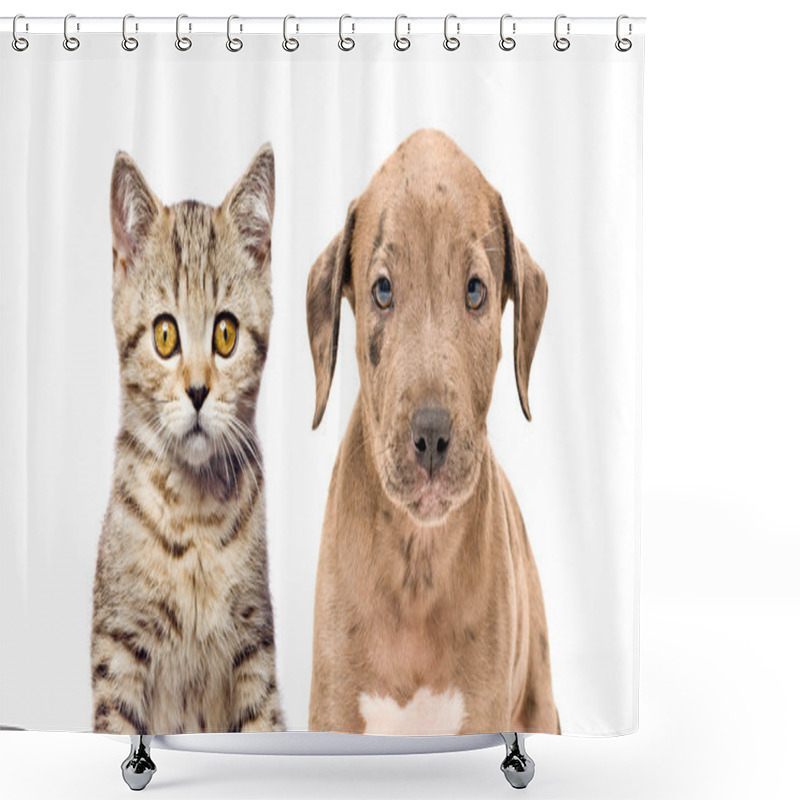 Personality  Portrait Of A Kitten And Puppy Shower Curtains