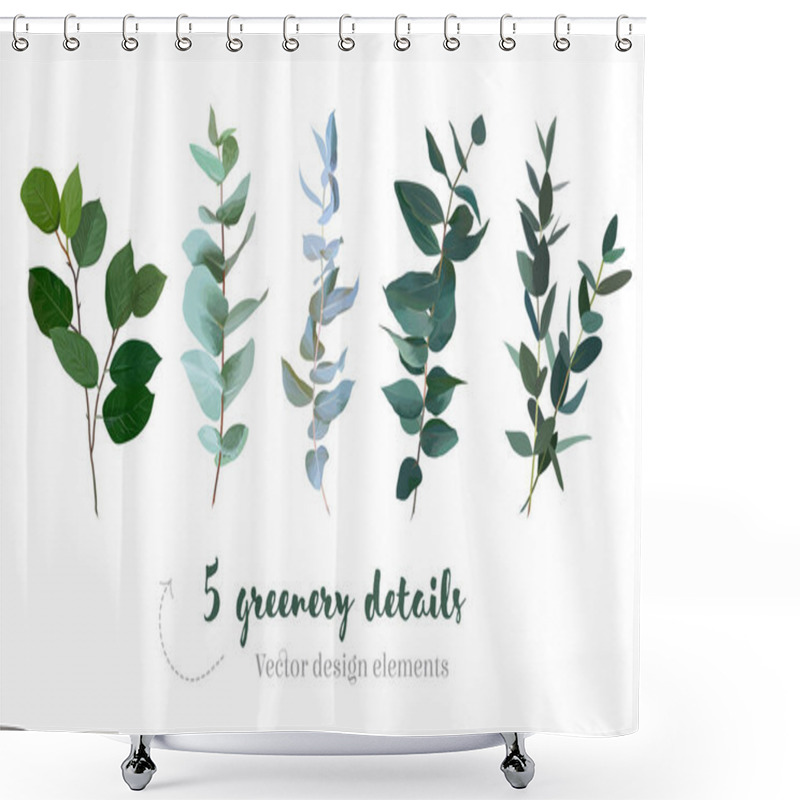 Personality  Mix Of Herbs And Plants Vector Big Collection Shower Curtains