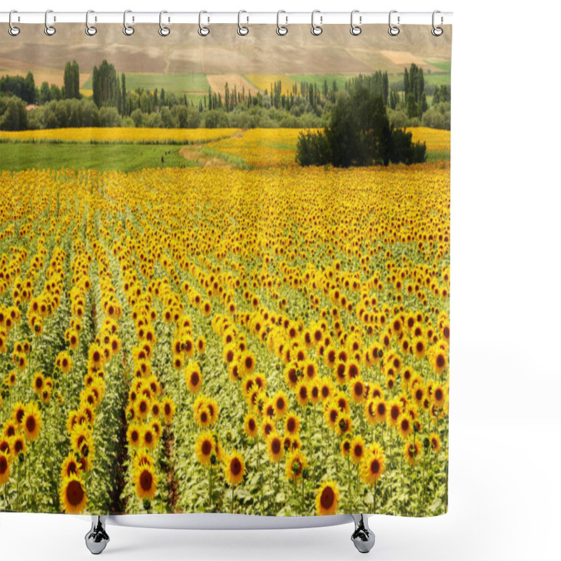 Personality  Yellow Fields Shower Curtains