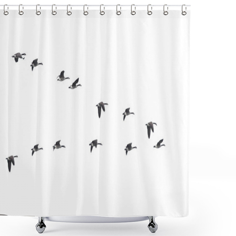 Personality  Flying Geese In V Shape Isolated Shower Curtains