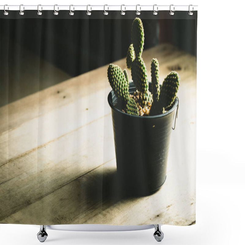 Personality  Small Cactus In Plastic Pots On A Wooden Table In The Dark Shower Curtains