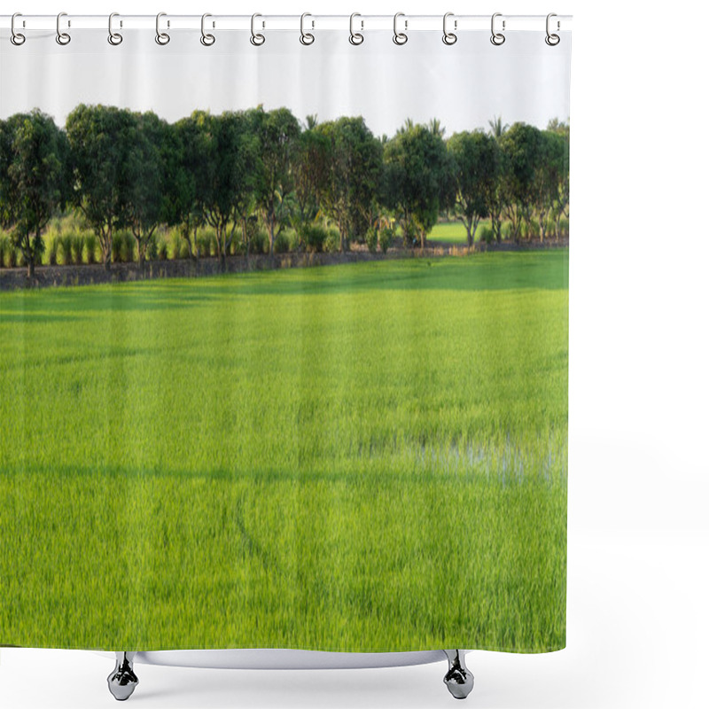 Personality  Cultivating Rice Rural Farmland Landscape Photography Lush Green Environment Wide-angle View Agricultural Serenity Shower Curtains