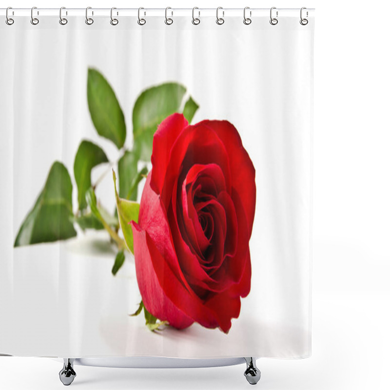 Personality  Red Rose Shower Curtains