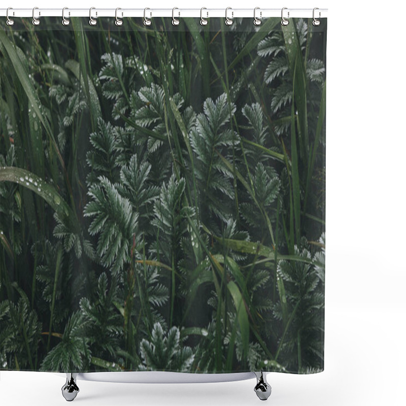 Personality  Plants Shower Curtains