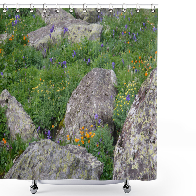 Personality  Natural Background, Blooming Mountain Meadow With Rocks, Altai. Shower Curtains