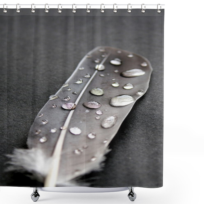 Personality  Bird Feather And Water Drops Shower Curtains