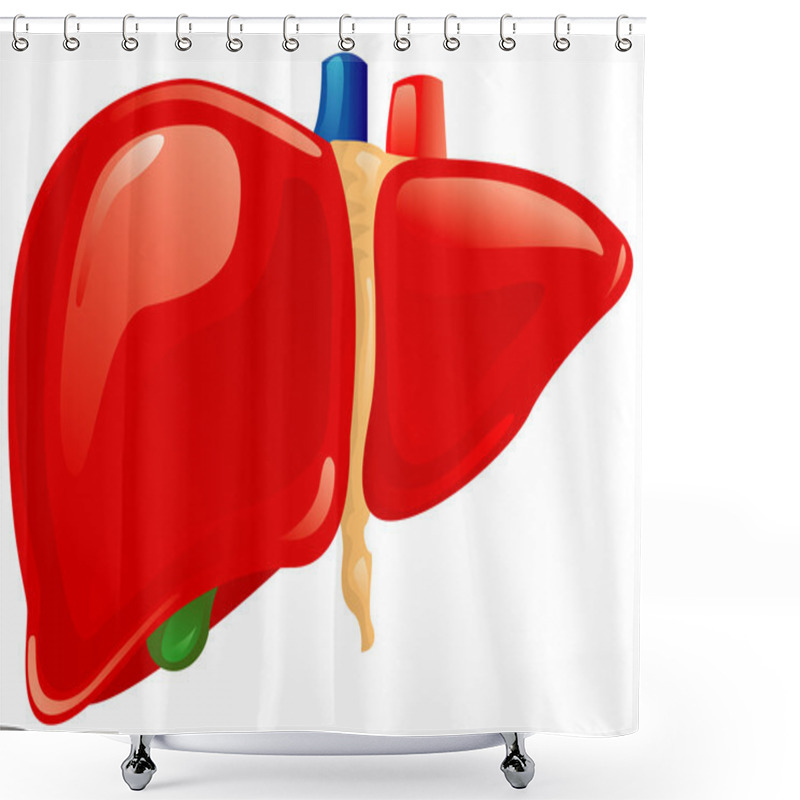 Personality  Human Liver Shower Curtains