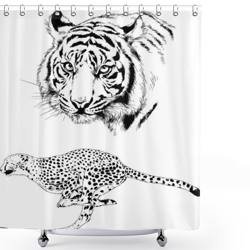 Personality  Set Of Vector Drawings On The Theme Of Predators Tigers Are Drawn By Hand With Ink Tattoo Logos Shower Curtains