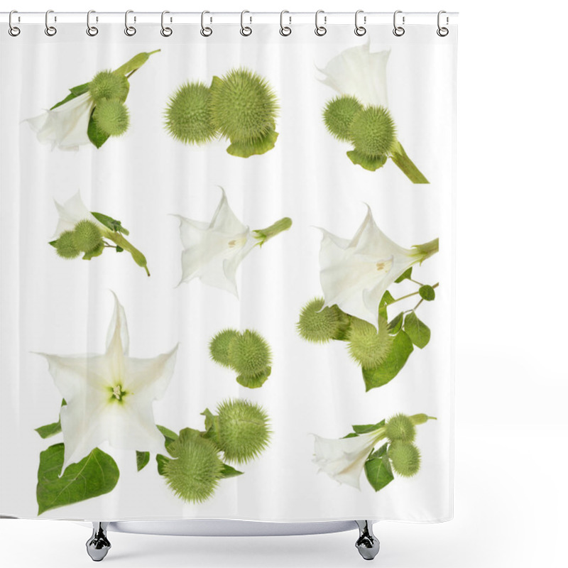 Personality  Datura Shower Curtains