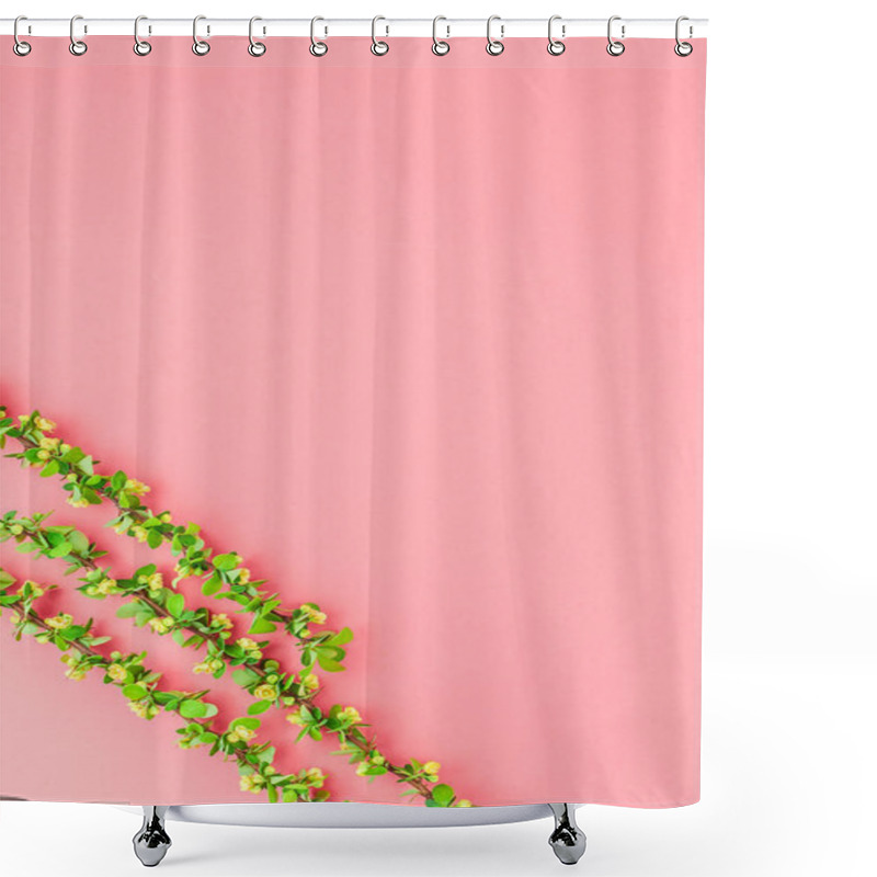 Personality  Creative Flat Lay Concept Top View Of Spring Blossoming Barberry Branch With Green Leaves, Barbs And Yellow Flowers On Pastel Color Paper Background With Copy Space In Minimal Style, Template Frame Shower Curtains