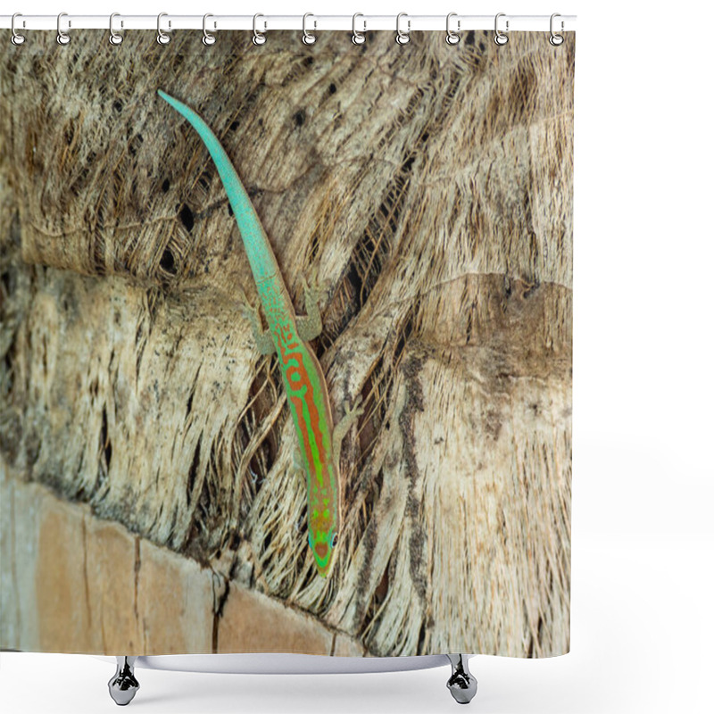 Personality  Madagascar Day Gecko, Madagascar Island Tropical Forest Jungle Lizard Shower Curtains