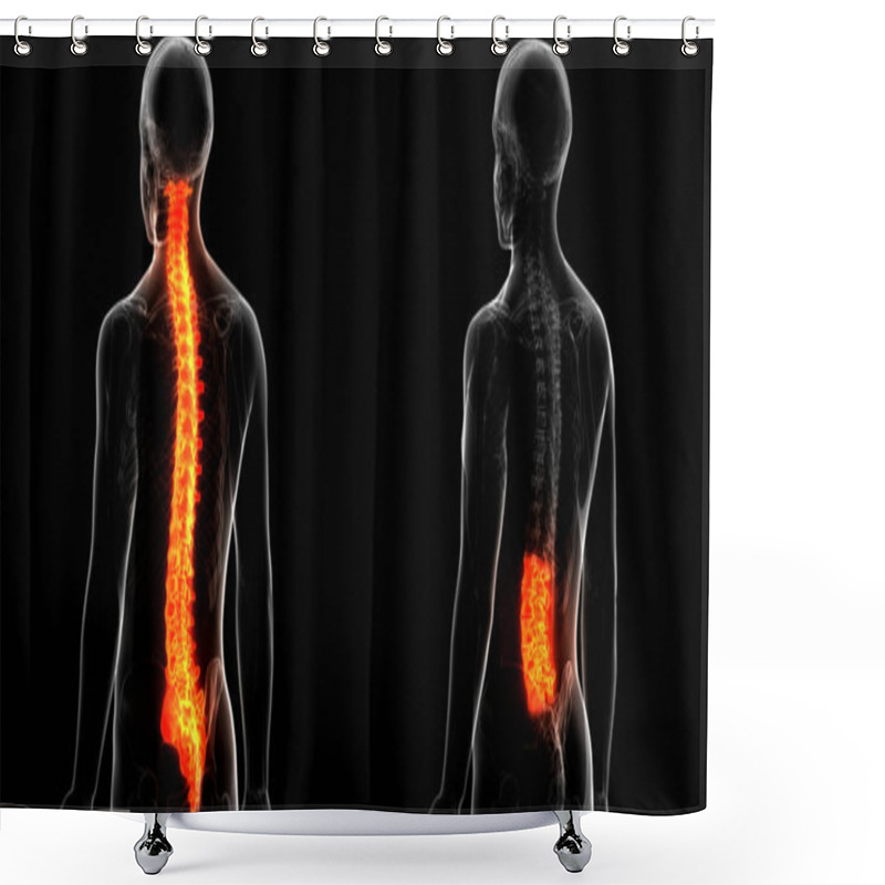 Personality  Vertebral Column Thoracic Vertebrae Of Human Skeleton System Anatomy. 3D - Illustration Shower Curtains