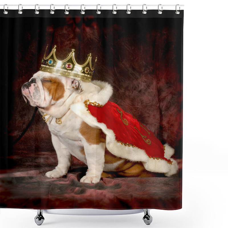 Personality  Spoiled Dog Shower Curtains