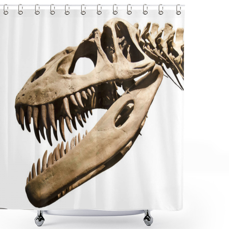 Personality  Dinosaur Skeleton Over White Isolated Background Shower Curtains