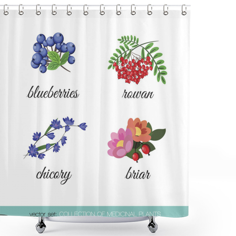 Personality  Collection Of Medicinal Plants2 Shower Curtains