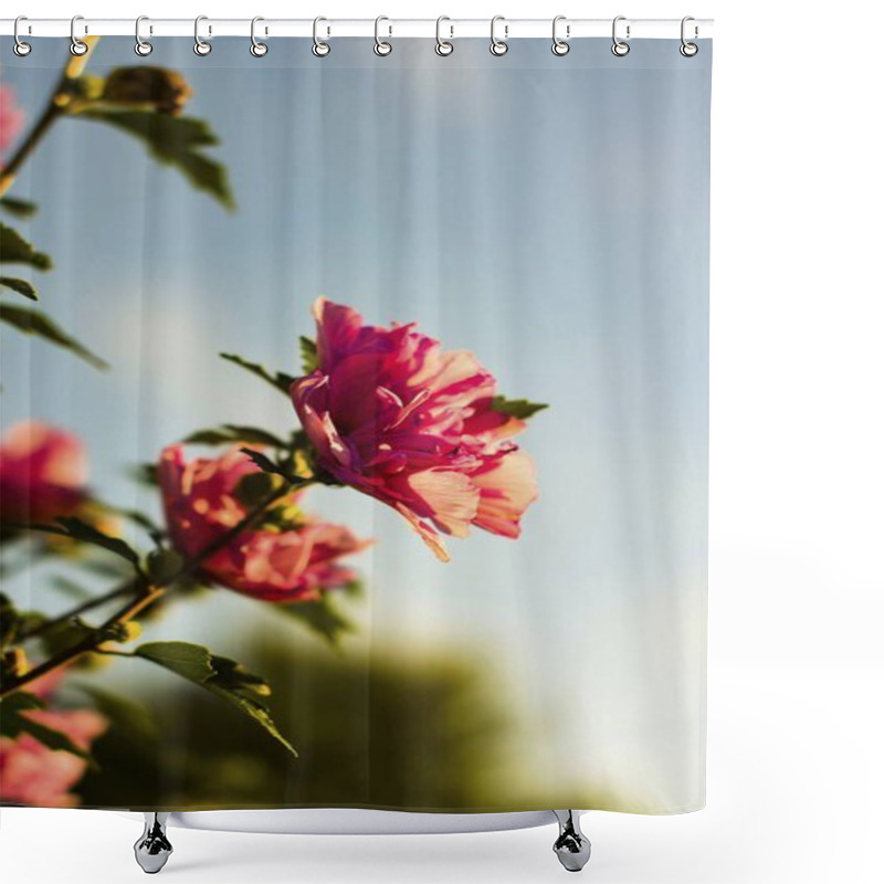 Personality  Beautiful Pink Blooming Flowers Against A Soft Blue Sky. Shower Curtains