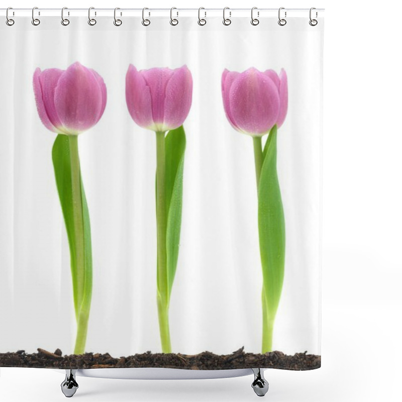 Personality  Pink Tulips Shower Curtains