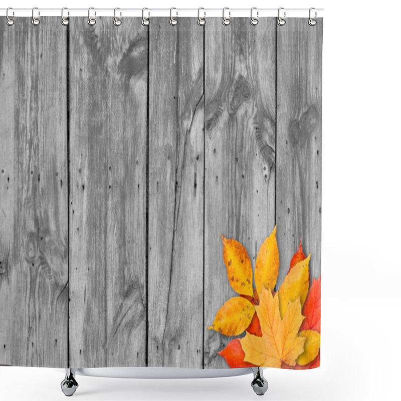 Personality  Autumn Leaves Over Wooden Background. Copy Space. Shower Curtains