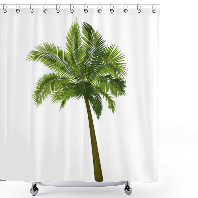 Personality  Coconut Straight Palm Tree. Vector Illustration Of Palm Tree Trunk, Foliage, Branches, Leaves. Image Of Tropical Tree In Vector. Illustrations Of Vector Tree. Shower Curtains