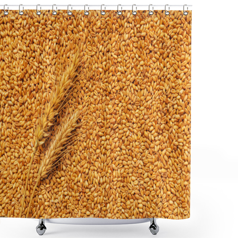 Personality  Wheat Ears And Grains After Harvest Shower Curtains