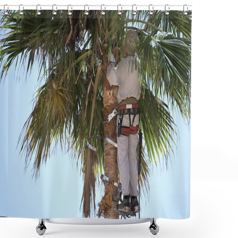 Personality  Cutting Palm Tree Fronds,high Up Shower Curtains