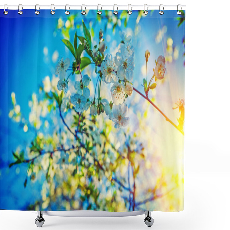 Personality  Blossoming Of Cherry Tree Shower Curtains