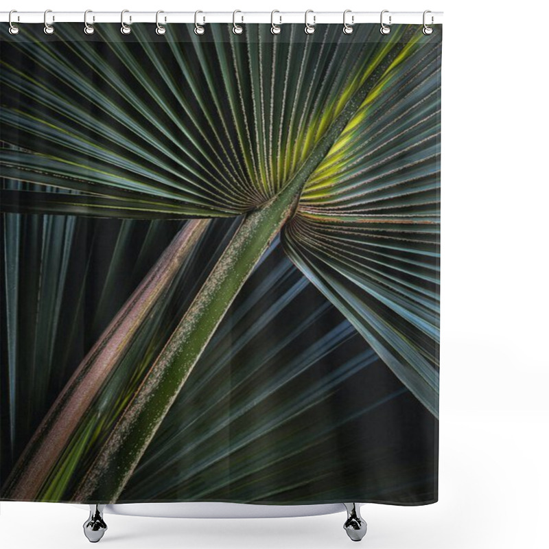 Personality  Close-up Of Vibrant Green Palm Leaves Showcasing Intricate Textures And Patterns. Shower Curtains