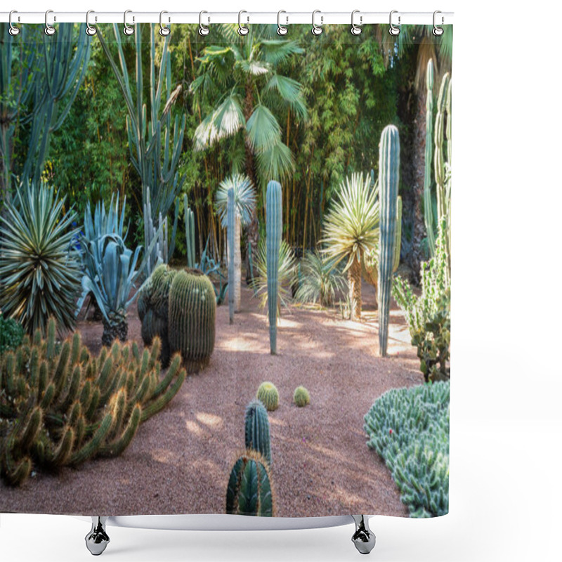 Personality  Marrakech, Morocco - 11, 2019 : Various Cactuses At The Jardin Majorelle Botanical Garden Located In Marrakech, Morocco. Shower Curtains