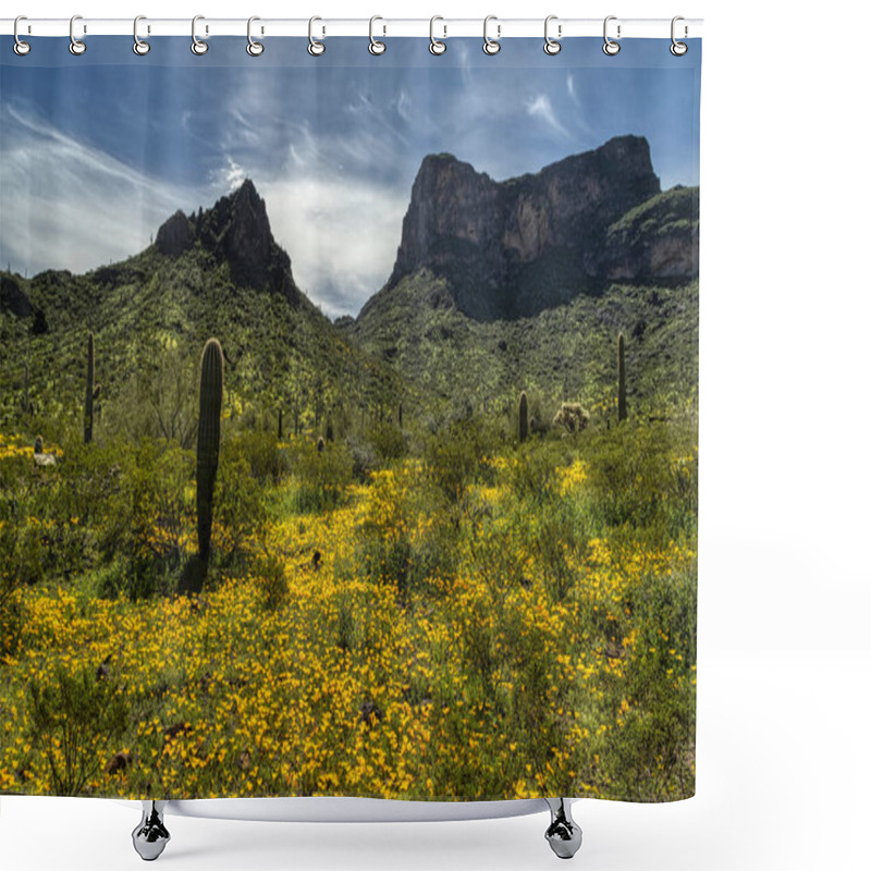 Personality  Spring Wildflowers At Picacho Peak State Park Near Phoenix, Arizona Shower Curtains