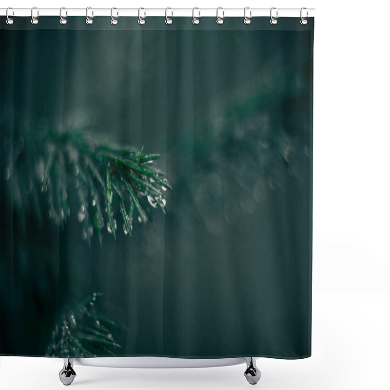 Personality  Fluffy Branches Of Fir Trees. Spruce Twigs. Fir Branches In The Forest Shower Curtains