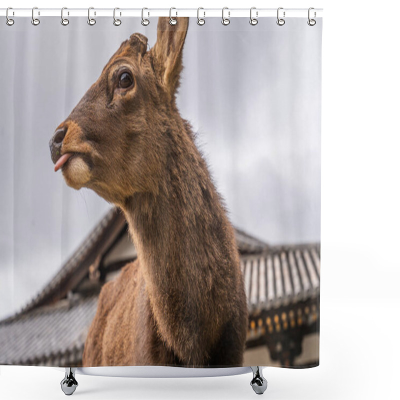 Personality  Deer Looking To The Left With Its Tongue Out In Front Of A Temple In Nara, Japan. High Quality Photo Shower Curtains