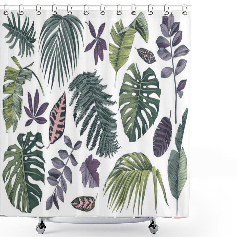 Personality  Hand Drawn Set Of Tropical Leaves And Plants Shower Curtains