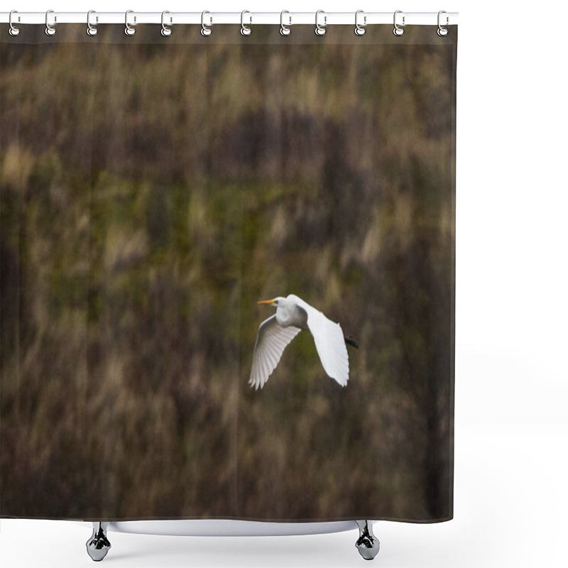 Personality  Great White Egret Flying Shower Curtains