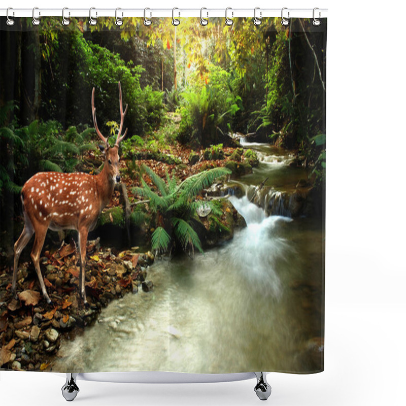 Personality  Sika Deer Shower Curtains