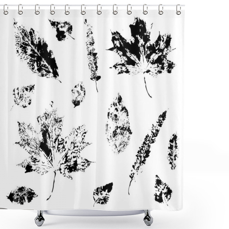 Personality  Set Of Stamp Of The Leaves Of Maple And Birch Shower Curtains