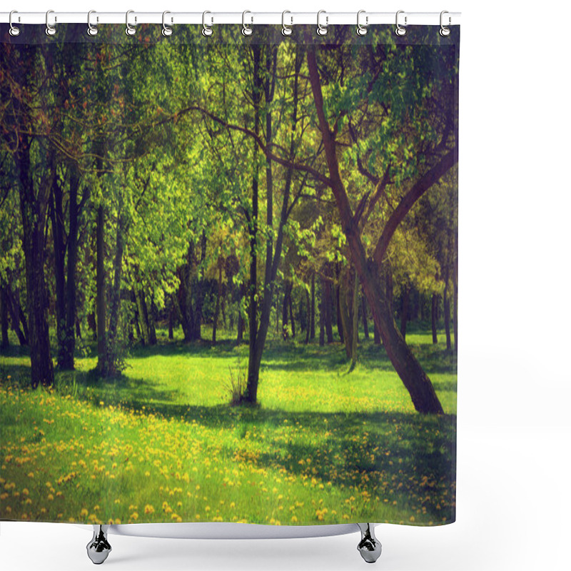 Personality  Green Spring Summer Park. Shower Curtains