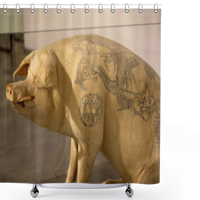 Personality  Cracow, Poland - April 25, 2019: An Embalmed Pig Named Slobodan Raised And Tattooed On A Chinese Farm By Belgian Artist Wim Velvoye. The Nature In Art Exhibition At Mocak Museum Of Contemporary Art In Krakow Shower Curtains