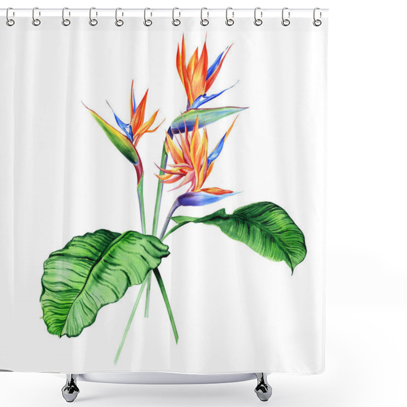 Personality  Watercolor Bouquets With Tropical Plants, Leaves And Strelitzia Flowers. Great For Valentines, Wedding Invites, Hawaii Birthday And Beach Party Shower Curtains