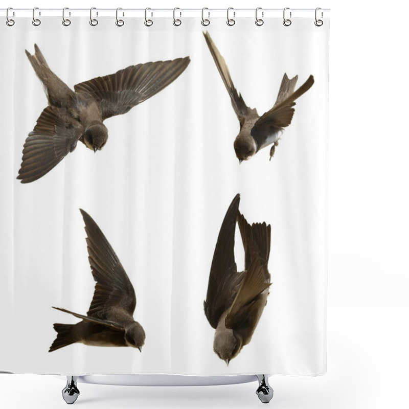 Personality  Set Sand Martin, Swallow In Flight Isolated On White Shower Curtains