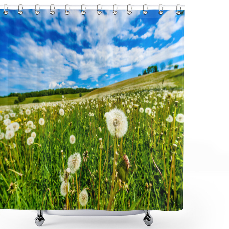 Personality  Blow-balls, Dandelions In Meadow With Blue Sky And White Clouds  Shower Curtains