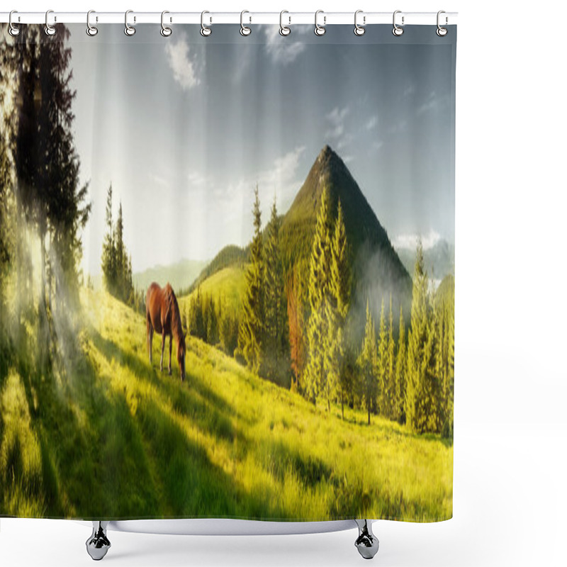 Personality  Horse On A Summer Pasture In The Mountains Shower Curtains