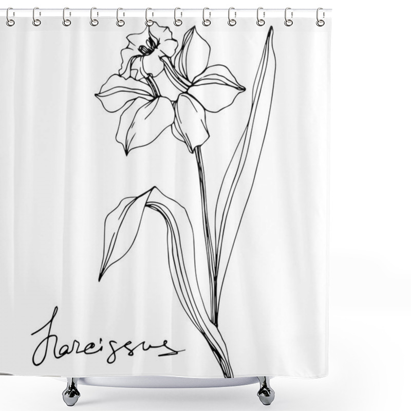 Personality  Vector Narcissus Flowers Illustration Isolated On White. Black And White Engraved Ink Art.  Shower Curtains